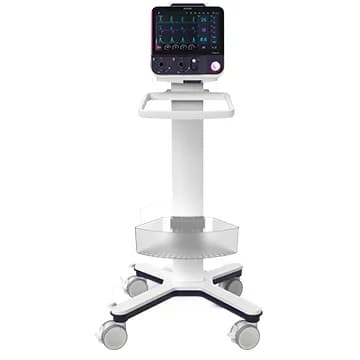 Padus 5 Multi-functional Turbine Ventilator