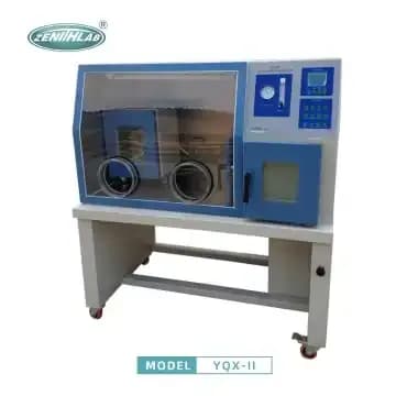 YQX-II Zenith Laboratory anaerobic incubator
